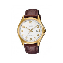 ORYGINALNY ZEGAREK MĘSKI CASIO MTS-100GL-7AV