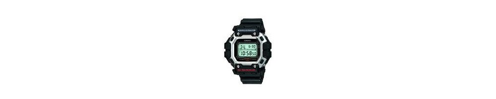DW-8300-1V ROK 2005