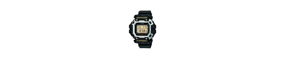 DW-8300G-1V ROK 2005