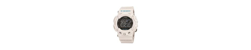 GW-9100P-7 ROK 2009