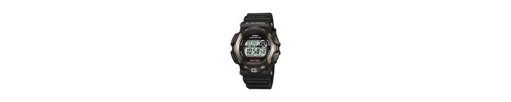 GW-9100Y-1 ROK 2008