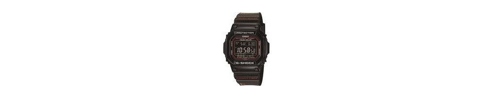 GWS-5600B-1 ROK 2010