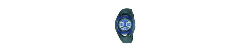 GC-1001-2BV ROK 2001