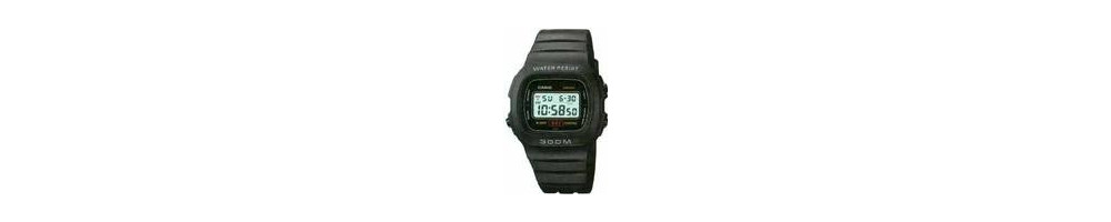 DW-310-1V ROK 1988