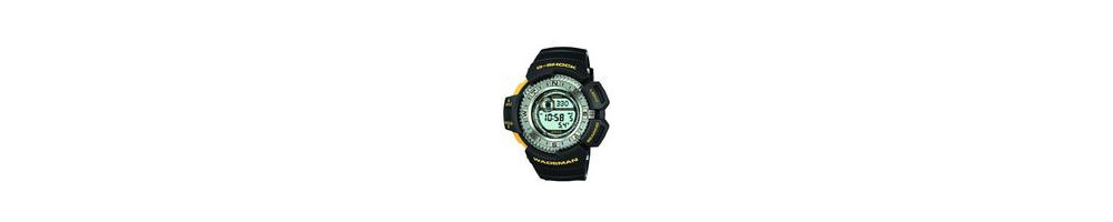 DW-9800-1BV ROK 1999