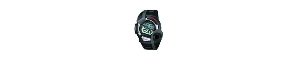 DWG-100-1V ROK 1999