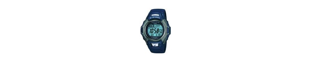 GW-501-2V ROK 2003