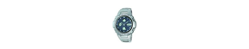 GW-1001-2AV ROK 2004