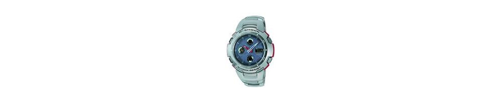 GW-1001-4AV ROK 2004
