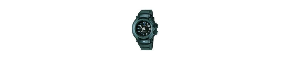 TRT-300-1BV ROK 2001