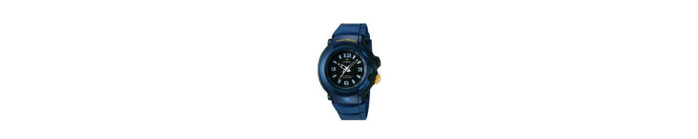 TRT-300-2BV ROK 2001
