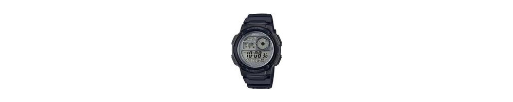 AE-1000W-7AV  ROK 2019