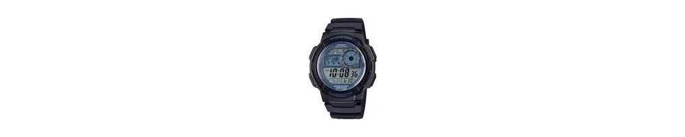AE-1000W-2A2V  ROK 2019