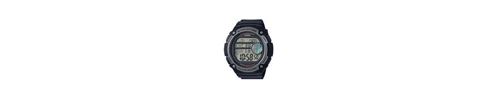 AE-3000W-1AV ROK 2017