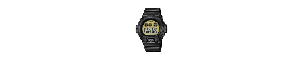 DW-6900PL-1 ROK 2013