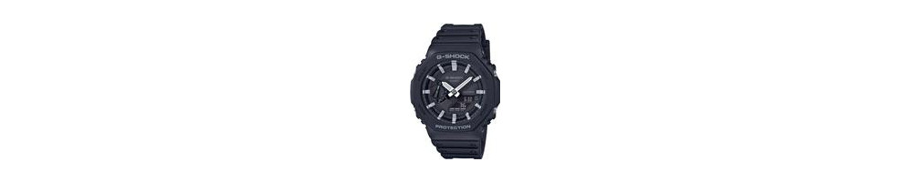 GA-2100-1A ROK 2019