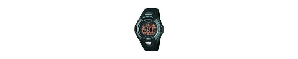 GW-501-1V ROK 2003