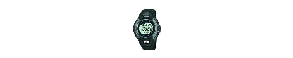 GW-510A-2V ROK 2003