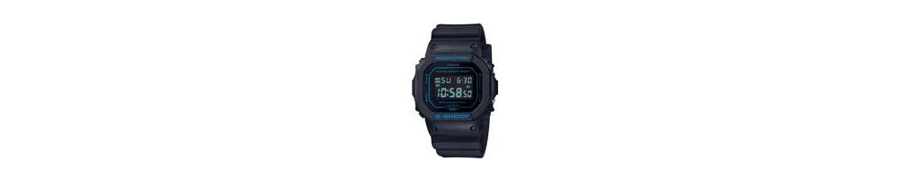 DW-5600BBM-1  ROK 2019