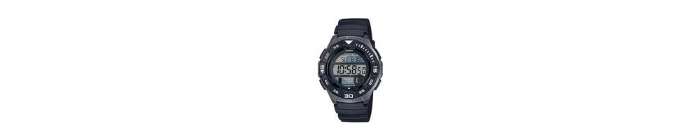 WS-1100H-1AV ROK 2019