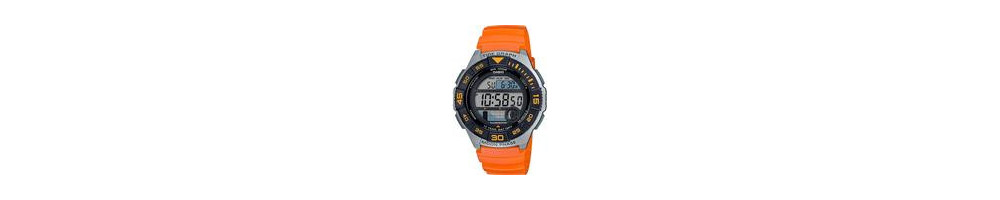 WS-1100H-4AV ROK 2019