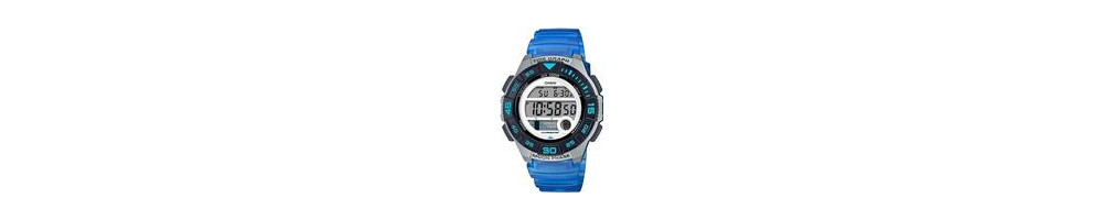 LWS-1100H-2AV ROK 2019