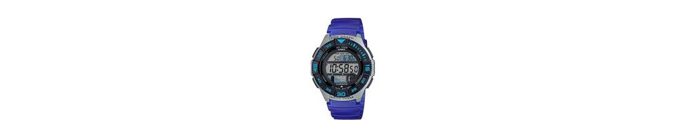 WS-1100H-2AV ROK 2019