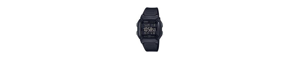 W-800H-1B