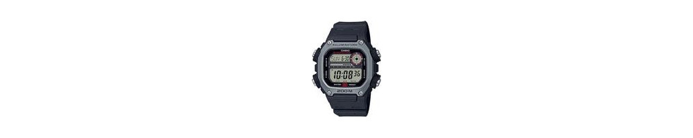 DW-291H-1AV ROK 2019
