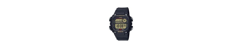 DW-291H-9AV ROK 2019