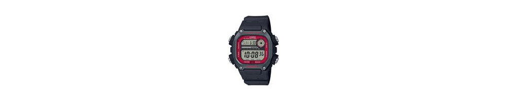 DW-291H-1BV ROK 2019
