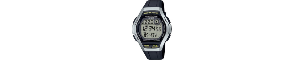 WS-2000H-1A2V
