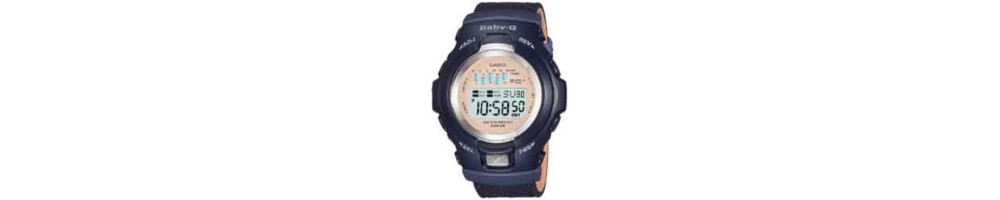 BG-1002DM-2 ROK 2006