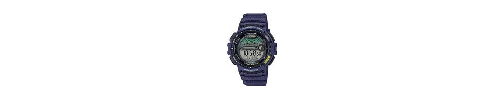 WS-1200H-2AV ROK 2020
