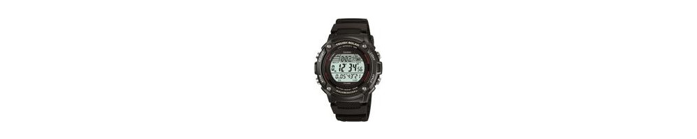 WS-200H-1BV ROK 2010