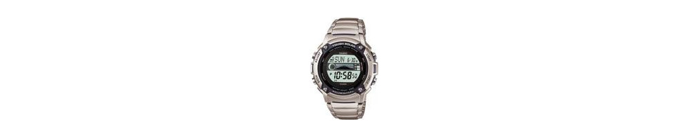 WS-210HD-1AV ROK 2010