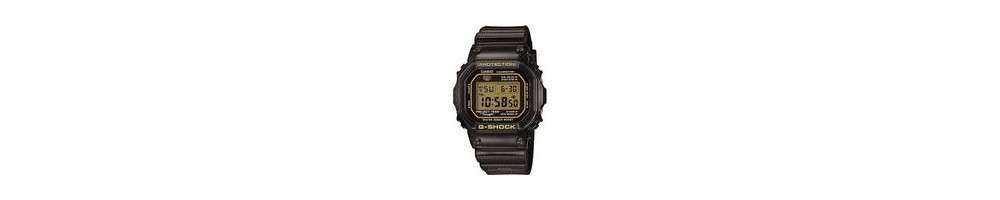 DW-5030D-1 ROK 2013