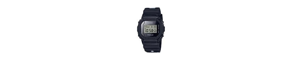 DW-5600PGB-1 ROK 2007