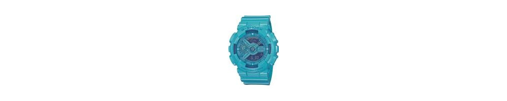 GA-110B-2 ROK 2010