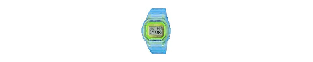 DW-5600LS-2 ROK 2020