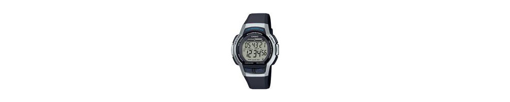 WS-1000H-1A2V ROK 2020