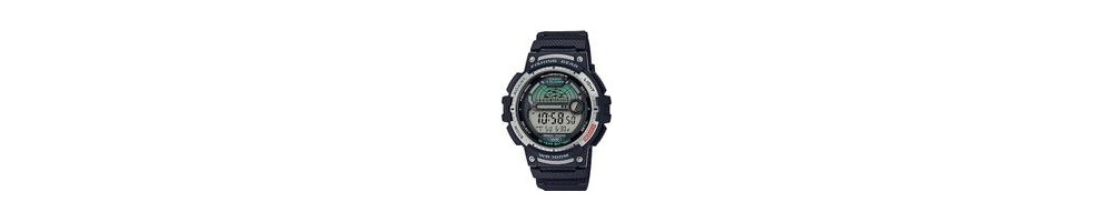 WS-1200H-1AV ROK 2020
