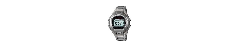 GW-800D-1VROK 2006 	