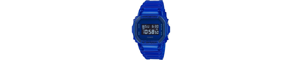 DW-5600SB-2 ROK 2019