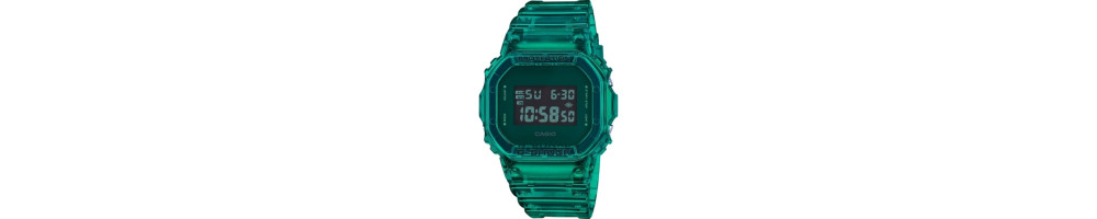 DW-5600SB-3 ROK 2019