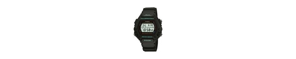 DW-290-1V ROK 2011