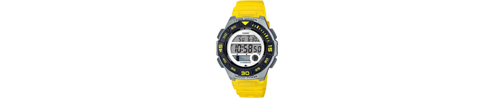 LWS-1100H-9AV ROK 2019