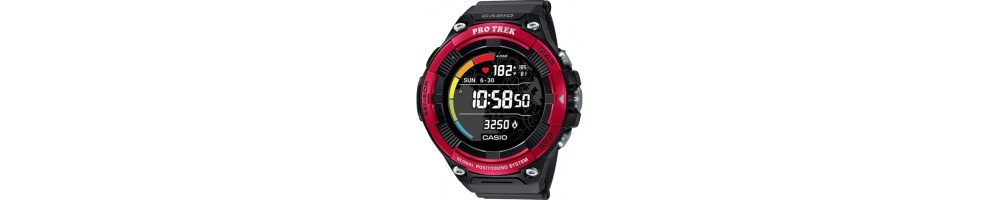 WSD-F21HR-RD ROK 2019