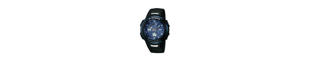 GW-1310A-2AV ROK 2004