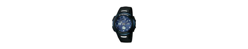 GW-1310E-2AV ROK 2004